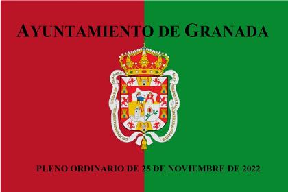 Pleno Ordinario de 25 de noviembre de 2022