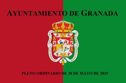 Pleno Ordinario de 30 de mayo de 2025