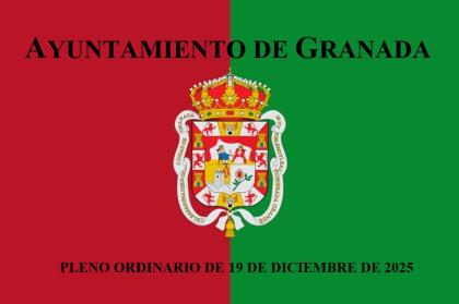 Pleno Ordinario de 19 de diciembre de 2025