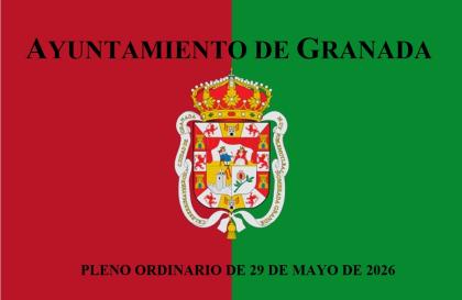Pleno Ordinario de 29 de mayo de 2026