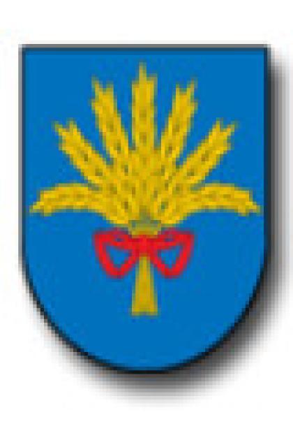 imagen de Plenos 2026