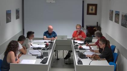 PLENO ORDINARIO 29-05-2025