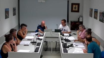 PLENO ORDINARIO 07-08-2025