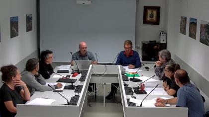 PLENO ORDINARIO 29-09-2025