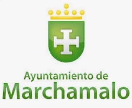 imagen de Plenos 2026