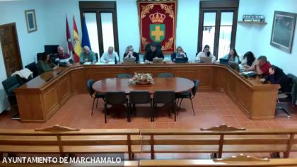 Pleno Ordinario del 7-04-2026