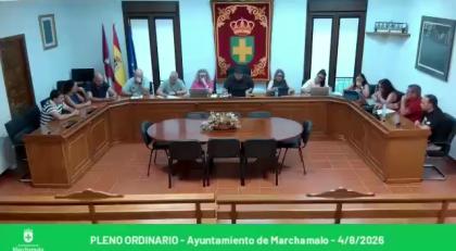 Pleno Ordinario del 4-08-2026