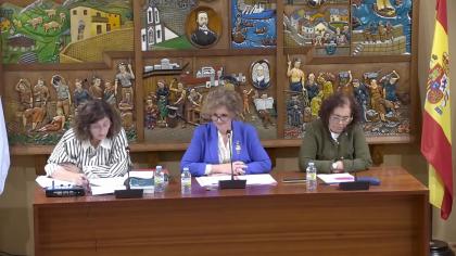 Pleno Ordinario 29-09-2025