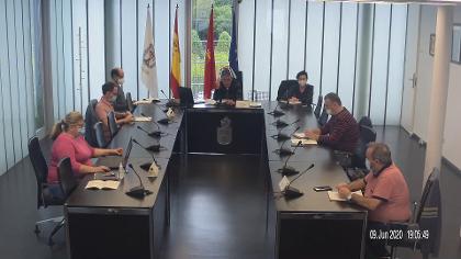 Pleno 9 de junio de 2020