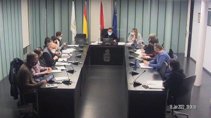 Pleno 18 de enero de 2022