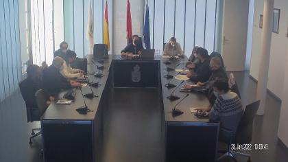Pleno 28 de enero de 2022