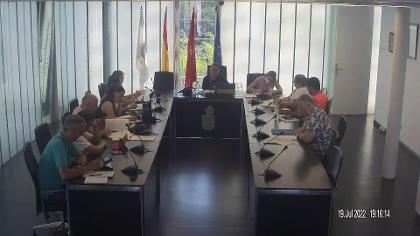 Pleno 19 de julio de 2022
