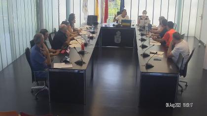 Pleno 9 de agosto de 2022