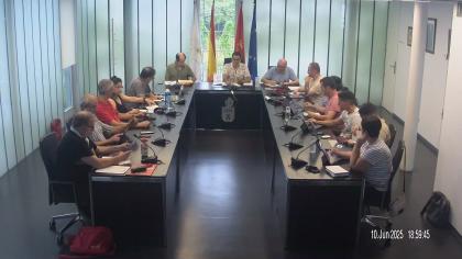 Pleno 10 de junio de 2025