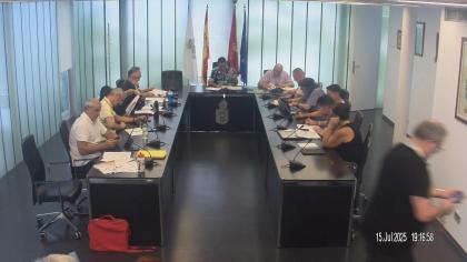 Pleno 15 de julio de 2025