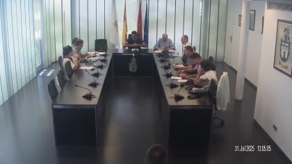 Pleno 31 de julio de 2025