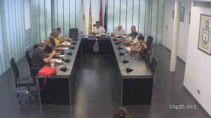 Pleno 12 de agosto de 2025