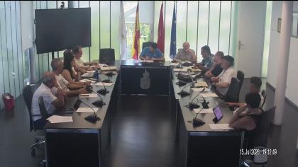 Pleno 15 de julio de 2026