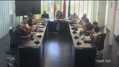 Pleno 11 de agosto de 2026