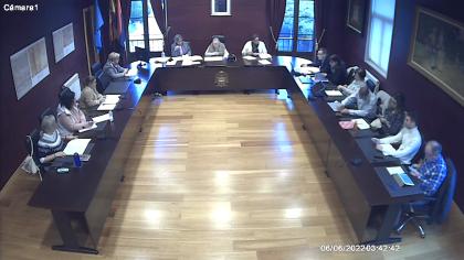 Pleno Extraordinario del 29-10-2024