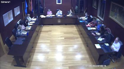  Pleno Ordinario del 30-01-2025