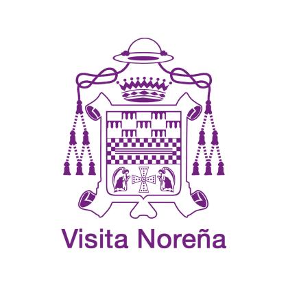 pleno 29 mayo 2025 2