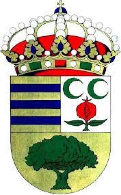 PLENO ORDINARIO 26 DE MAYO DE 2025