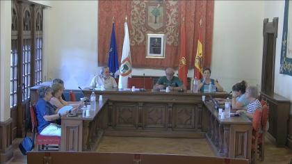 Pleno ordinario 25 de junio de 2026