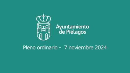 Pleno Ordinario de 7 de Noviembre de 2024