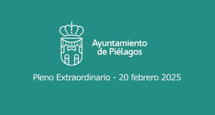 Pleno Extraordinario de 20 de Febrero de 2025