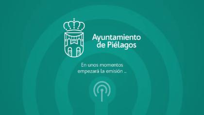 Pleno Ordinario de 6 de Marzo de 2025