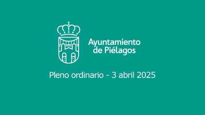 Pleno ordinario de 3 de Abril de 2025