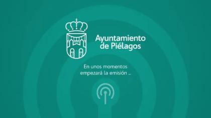Pleno Ordinario de 3 de Julio de 2025