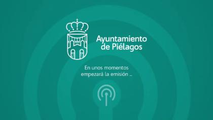 Pleno Ordinario de 6 de Noviembre de 2025