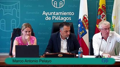 Pleno Ordinario del  02-07-2026
