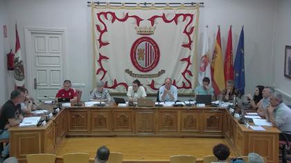PLENO ORDINARIO 29/05/2025