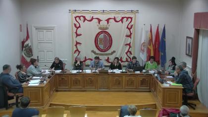 PLENO ORDINARIO 26/02/2026