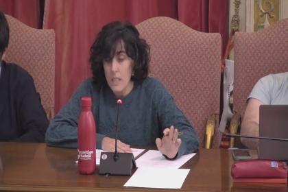 Pleno Ordinario 26/01/2026