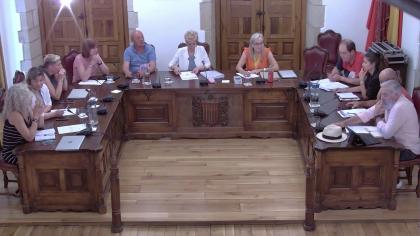 Pleno Ordinario del día 19/06/2025