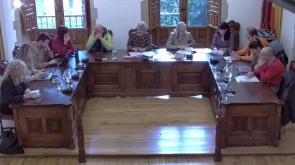 Pleno Extraordinario del día 11/03/2026