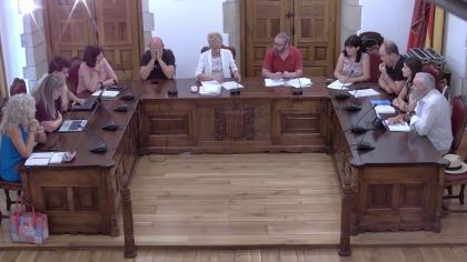 Pleno Extraordinario del día 25/08/2026