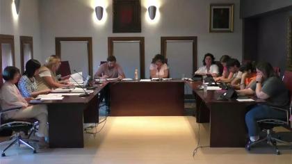 Pleno Ordinario 29-05-2025