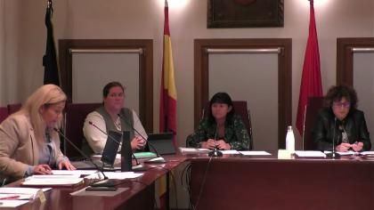 Pleno Extraordinario del 13-11-2025