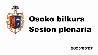 Pleno ordinario 27/05/2025 - 2025/05/27 Osoko bilkura