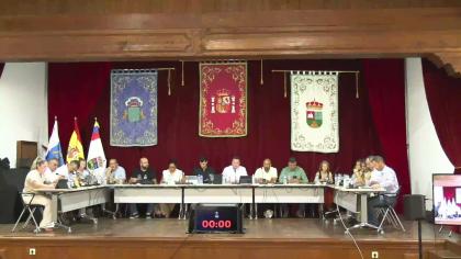 Pleno Ordinario del 12-08-2025