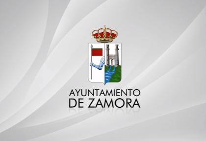 Pleno Ordinario 31 de Enero 2017